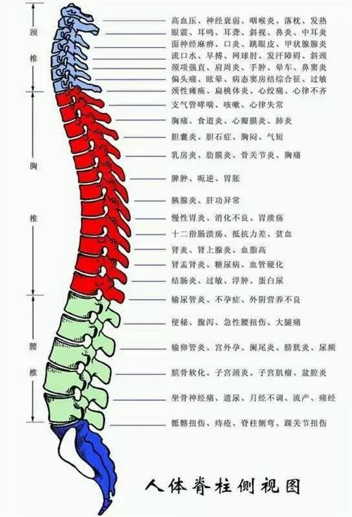 脊椎问题,你想知道的这里都有!