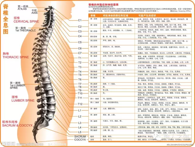 你身体的莫名疼痛,十有八九都来自于脊柱问题