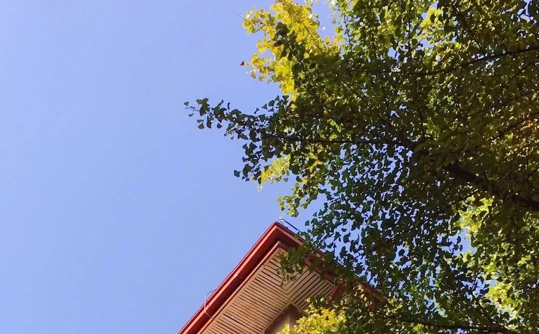 热浪来袭!这几种情况都是“中暑”,千万别忽视