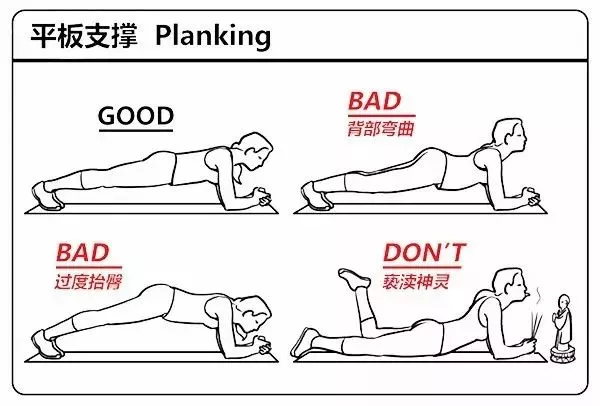 号外!人体使用说明书请拿好