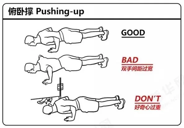 号外!人体使用说明书请拿好