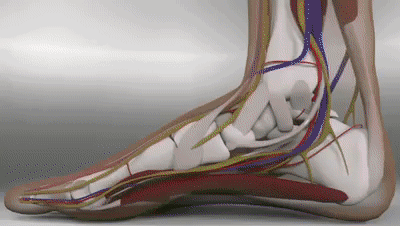 src=http___pic2.zhimg.com_v2-9d579145146f55d3dfeca31fefb15629_b.gif&refer=http___pic2.zhimg.gif 图片