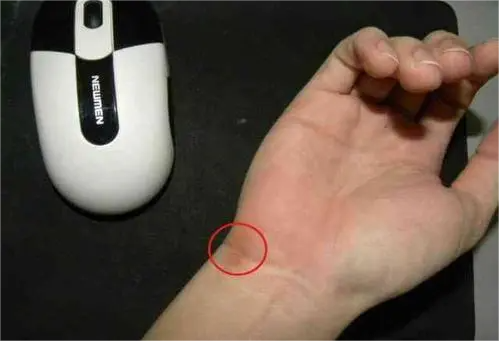 u=2203692509,1082552298&fm=253&fmt=auto&app=138&f=JPEG(1).png 图片