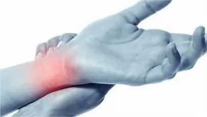 u=2486983863,630077677&fm=253&fmt=auto&app=138&f=JPEG(1).png 图片