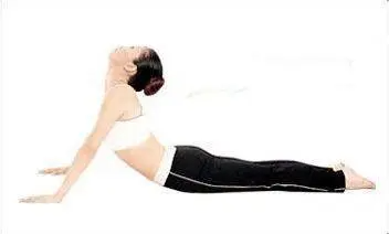 u=2817337984,12324110&fm=253&fmt=auto&app=120&f=JPEG(1).png 图片